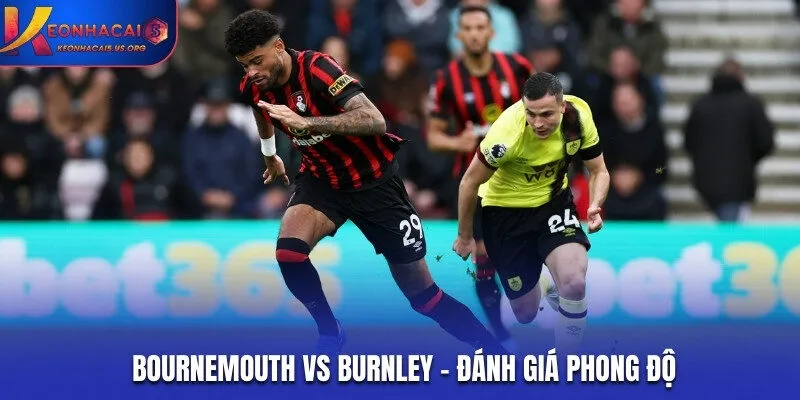 Thành tích thi đấu thời gian gần đây của Bournemouth vs Burnley