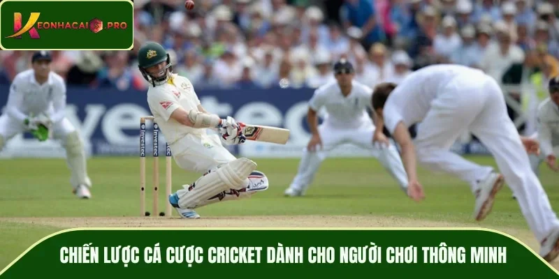 Chiến lược cá cược cricket dành cho người chơi thông minh