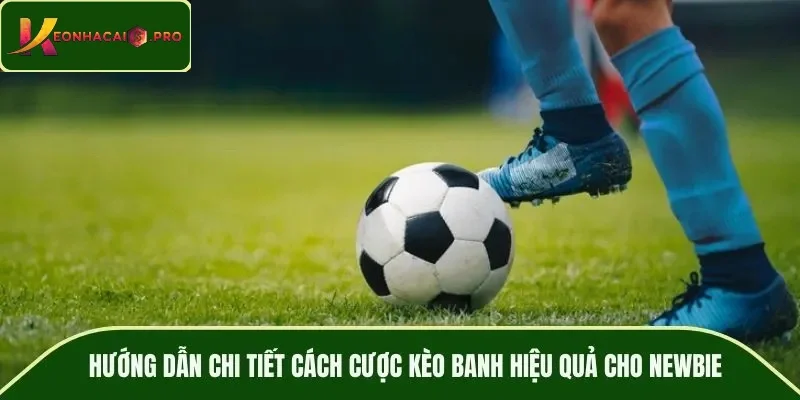 Hướng dẫn chi tiết cách cược kèo banh hiệu quả cho newbie