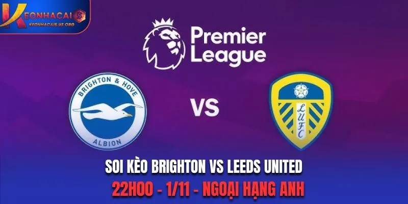 Soi kèo Brighton vs Leeds United: 22h00 - 1/11 - Ngoại Hạng Anh